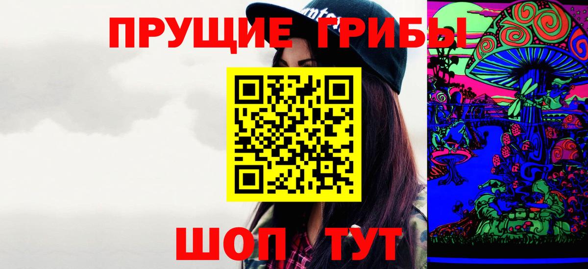 где купить наркоту  Вход с VPN  Галлюциногенные грибы Psilocybine cubensis  Сызрань  Псилоцибиновые грибы Cubensis 