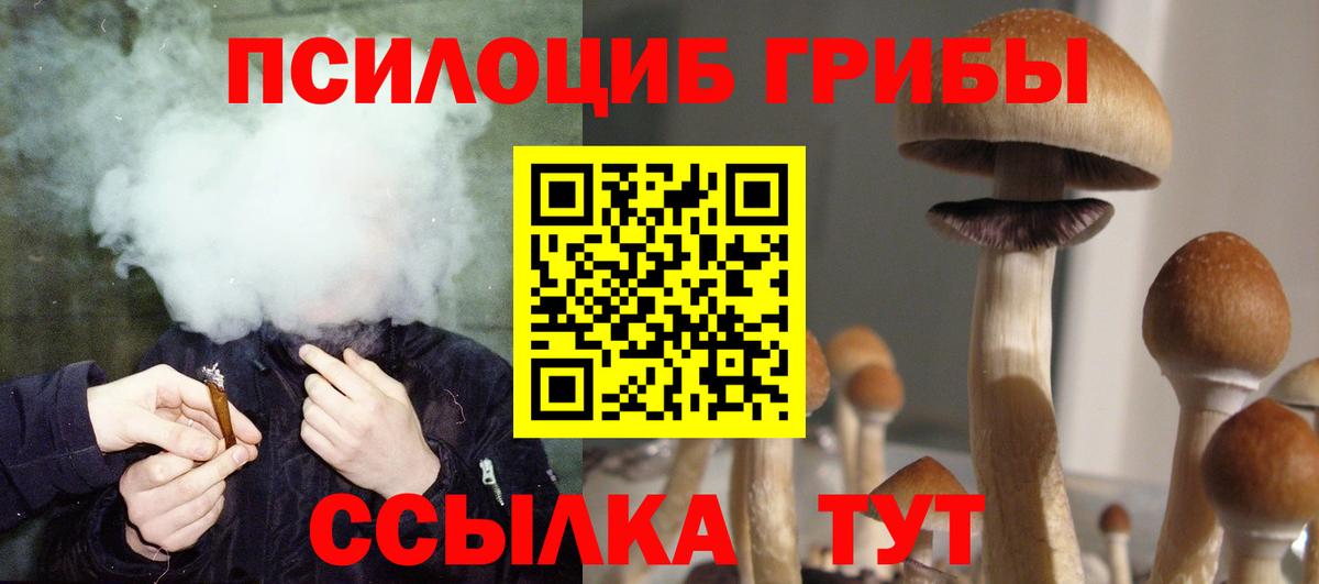 Псилоцибиновые грибы Cubensis Сызрань